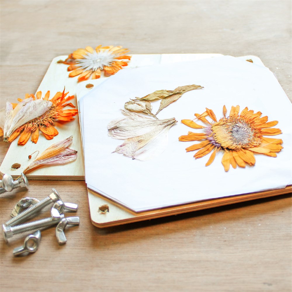 Flower Pressing Kit - Scrapbooking  CleverPatch - Art & Craft Supplies