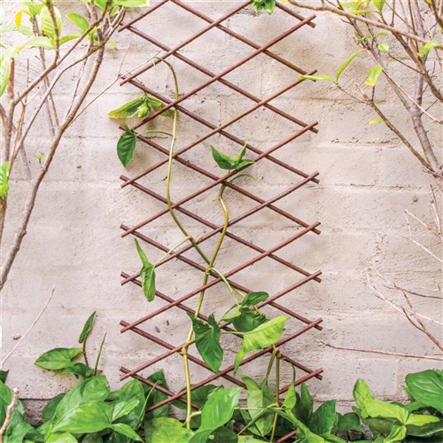 Expanding trellis discount