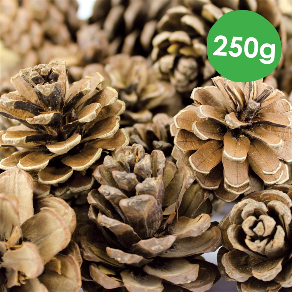 Mini Pine Cones 250g Pack Natural Christmas Craft CleverPatch   14810 2 