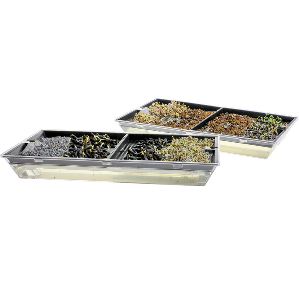 Microgreens Growing Tray | Gardening | CleverPatch - Art & Craft Supplies