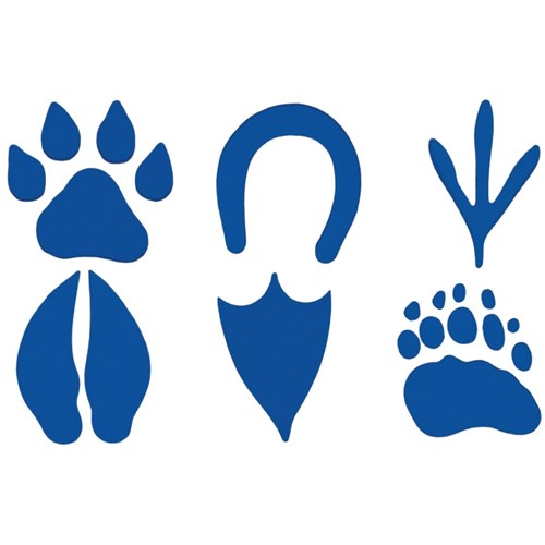 Paw Print Giant Stampers - Pack of 6