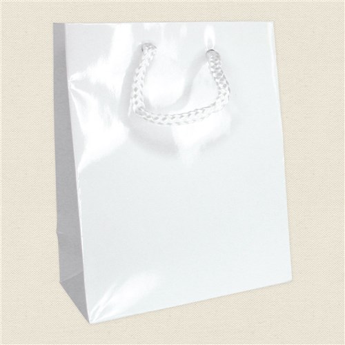 Download Gloss Paper Gift Bag - White | Collage & Craft ...