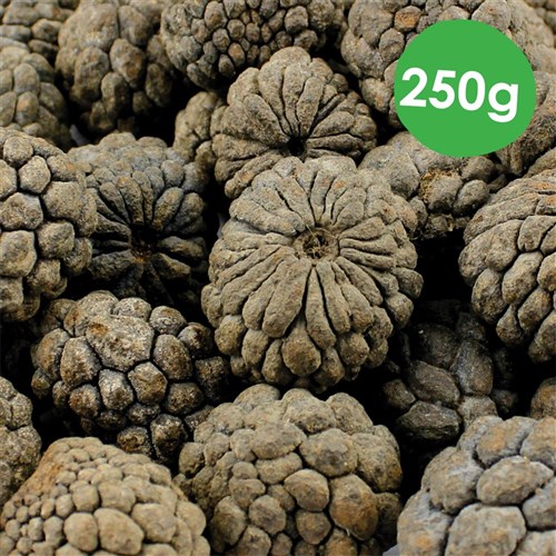 Atta Fruit - 250g Pack