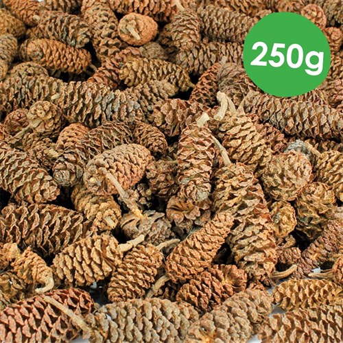 Birch Pine Cones - 250g Pack