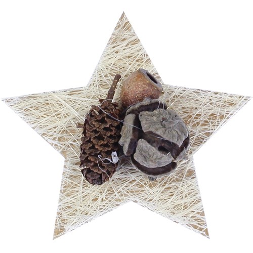 Cardboard Stars - Brown - Pack of 20