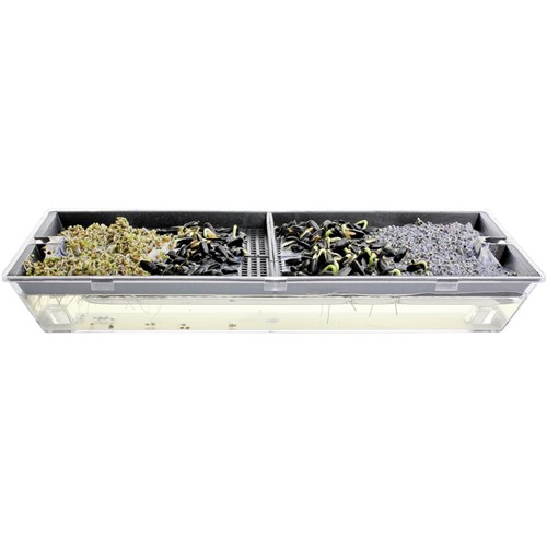 Microgreens Growing Tray