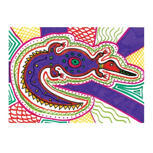 Australian Animals Aboriginal X-Ray Art Canvases - Pack of 4