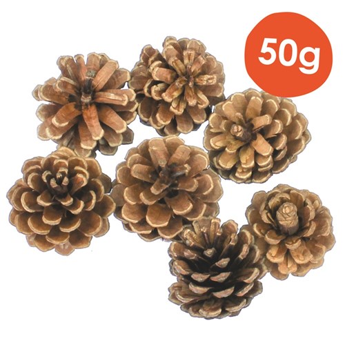 Mini Pine Cones - 50g Pack