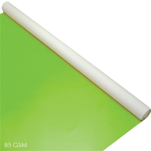 Display Poster Roll - Gloss - Light Green - 10 Metres