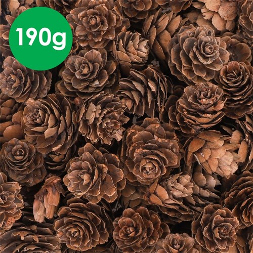 Mini Pine Cones - 190g Pack