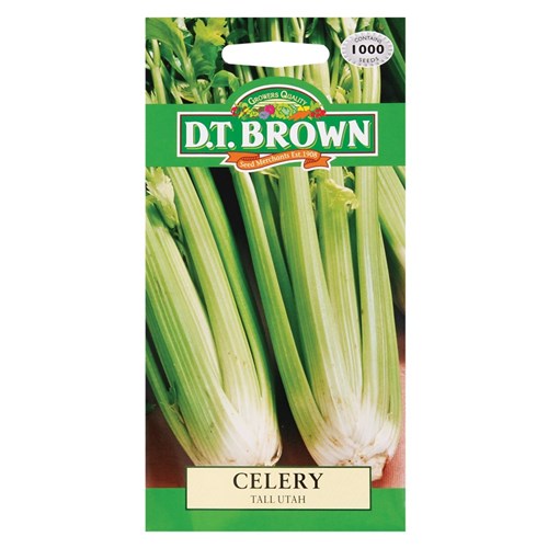 Celery Seeds - Pack of 1,000