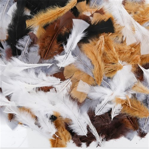 Feathers - Natural - 60g