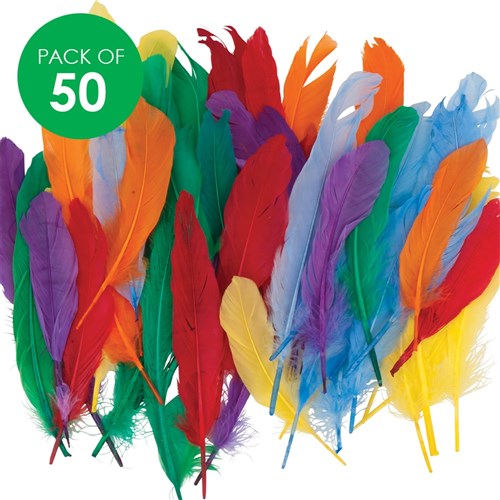 Creatistics Quill Feathers - Pack of 50