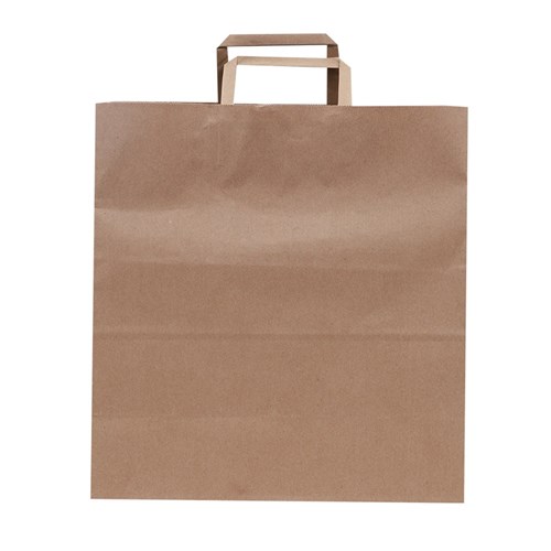 Medium Paper Gift Bag - Brown - Each