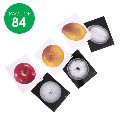Plant X-Rays - Pack of 84