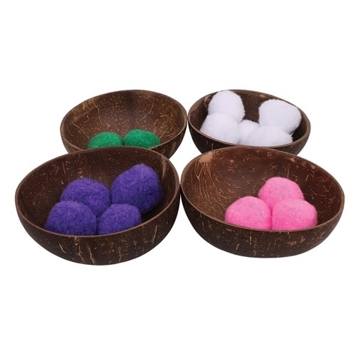 Coconut Shell Bowls - Pack of 4