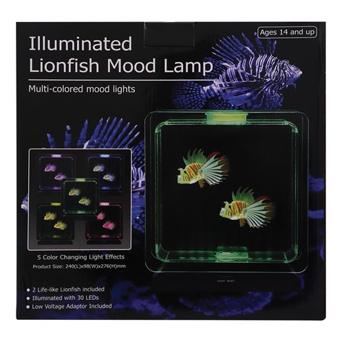 Square Electronic Fish Tank with Tropical Fish