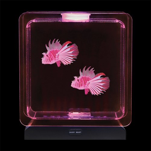 Square Electronic Fish Tank with Tropical Fish